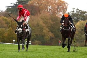 La Haye Jousselin 23 Grandeur Nature