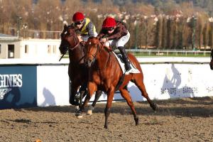 Irish River 23 Fast Raaj