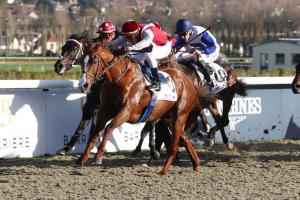 Lyphard 23 Dawn Intello