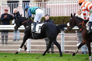 Renaud du Vivier 23 Losange Bleu