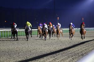 Luthier 23 arrivée face