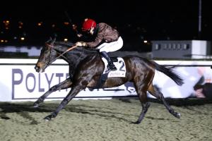 Arcangues 23 Goya Senora