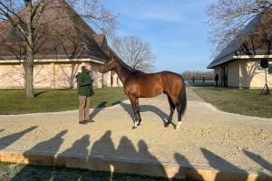 Route des Etalons 2024