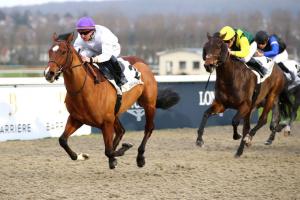 Tortisambert à Deauville