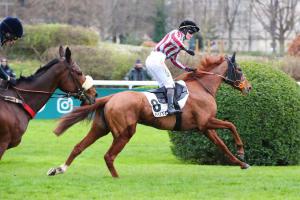 Duc d'Anjou 4yo Chase History