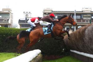 Troytown 24 Juntos Ganamos