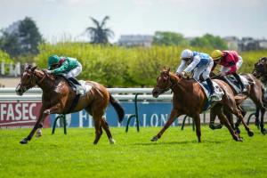 Noailles 24 Calandagan