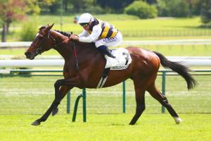 Barbeville 24 Sevennah's Knight