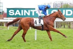 Edmond Blanc 24 Tribalist