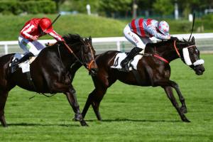 Head 24 Imbatable Seuil