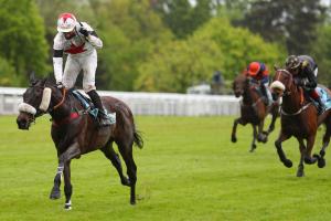 Ingré Chase History: In memory of a war horse