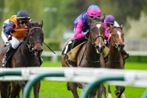 Vanteaux 24 Dare to Dream