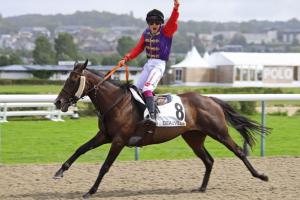 Poneys au Galop 2024