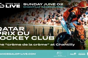 Key Visual Qatar Prix du Jockey Club 2024