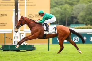 Hocquart 24 Calandagan