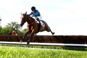 Breil 24 Pistache Dore