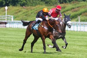 Historique du Grand Steeple-Chase de Paris : le sommet d'Auteuil