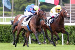 Greffulhe 24 Wootton Verni