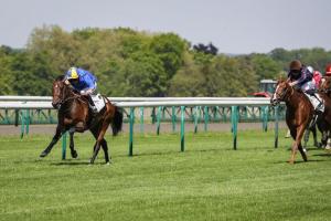 Guiche 24 Darlinghurst