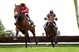 Sagan 24 Shika du Berlais