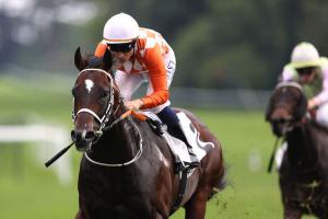 Saint-Georges 24 Ponntos