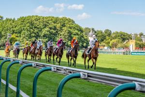 Championnat Grandes Ecoles