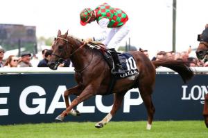 Derby PA 4ans 24 Muraad