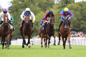 Diane 24 Sparkling Plenty