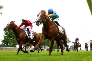 orgemont 24 itsatenfromlen