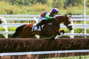 P&richole 24 Royal Saga