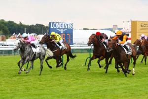 Maillot 24 King Gold