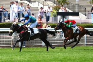 Questarabad 24 Kandy Park