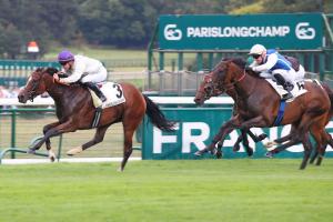 Malleret History: A broodmares' academy