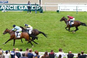 Meautry 24 Spycatcher