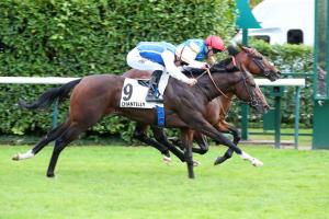 Eclipse 24 Electrolyte