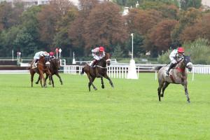 The Fellow 24 Kaadam