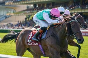 Vermeille 24 Bluestocking