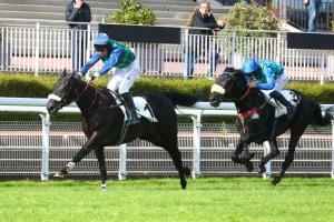 Hennessy24LosangeBleu