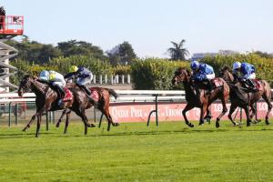 Wildenstein 24 Ramadan