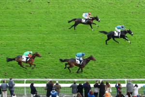 GP Automne Losange Bleu