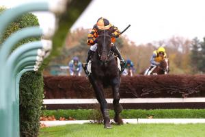 Renaud Vivier 24 Kingland