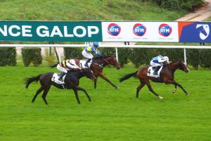 Royal-Oak History: Where stayers finally meet