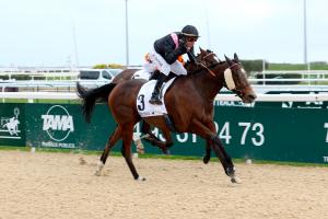 Hooking sous la selle de Ronan Thomas