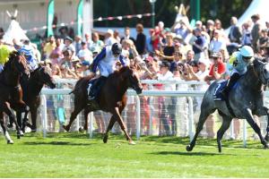 Prix Jacaques Le Marois
