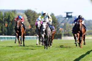 Jockey sur chevaux lors d'une course 