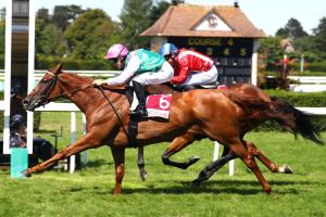 Latakia et Le Combat Continue