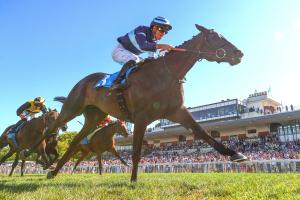 Sumbe Prix Jean Romanet