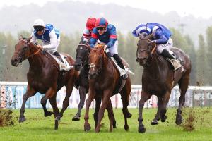 Le vétéran Al Aasy remporte le Lucien Barrière Grand Prix de Deauville