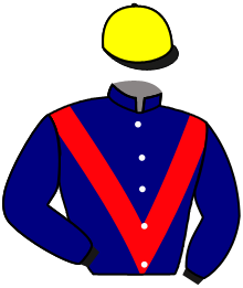 Casaque Ecurie des Mouillotins