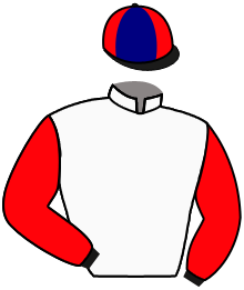 Casaque Lugdunum racing 3